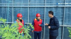 阜阳太和县：电气智能化 农户 “慧耕田”