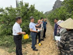 全国农业手艺推广办事核心专家到广西开展农做