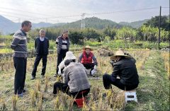 县农业农村分析办事核心结实开展农做物病虫害