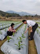 <b>强降雨及洪涝灾后农做物病虫害防治看法</b>