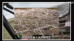 曹丰泽：同样是种大豆为何一江之隔产量却差近